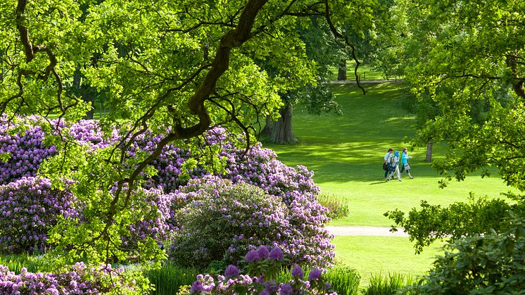 Stort evenemang kommer till Brunnsparken