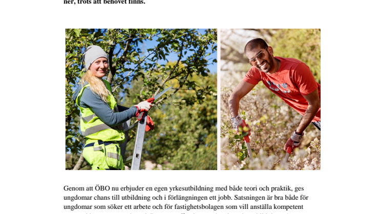Utbildning + lön=Sant!