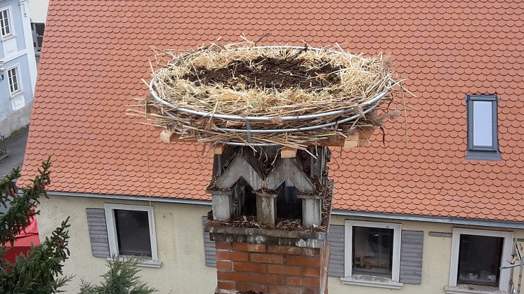 Storchennest Unterneuses_3000x2000