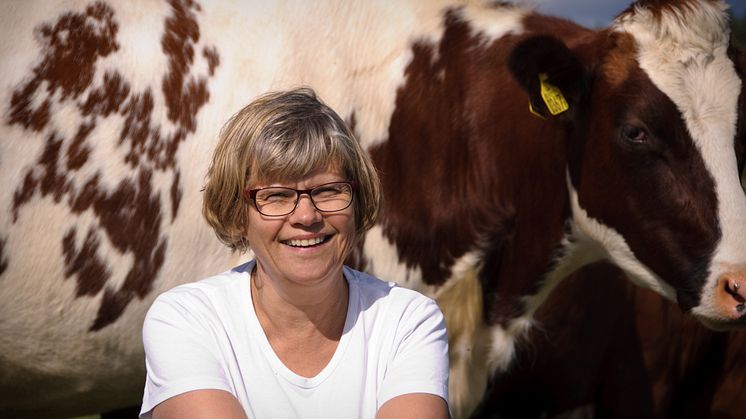– Mjölkbönderna blir färre och det är allt mer angeläget för branschfolket att träffas, säger Britt-Marie Jafner, som håller ihop programmet för djurvisningarna på Elmia Lantbruk i höst. 