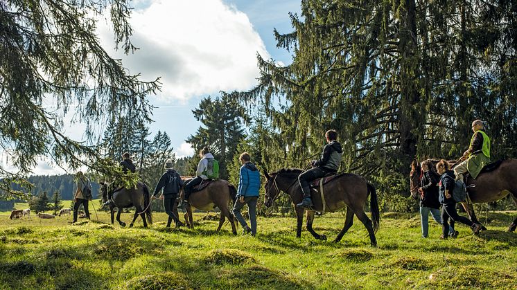 MaultiertrekkingImBernerJura(c)SchweizTourismus_MarkusBuehler