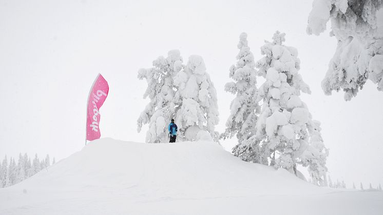 SkiStar Sälen: Alla parker öppna till sportloven