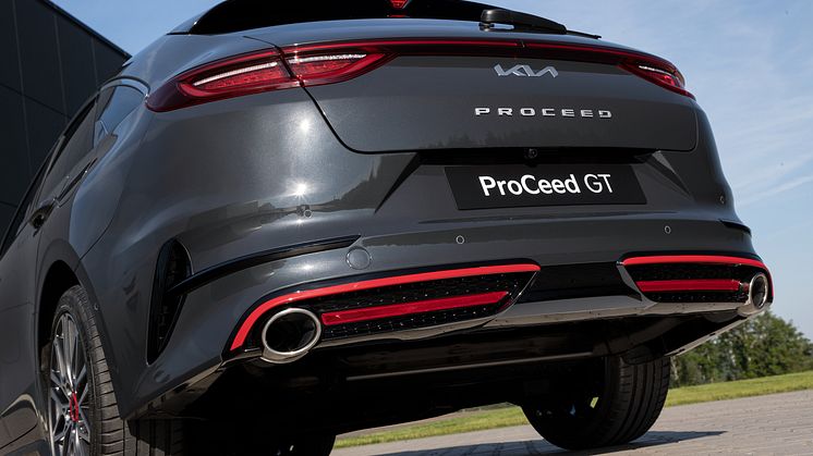 ProCeed GT_8