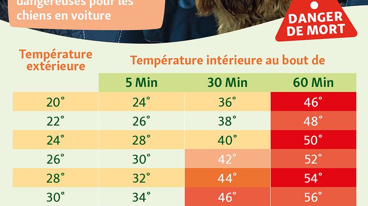 Infographie_temperature_voiture