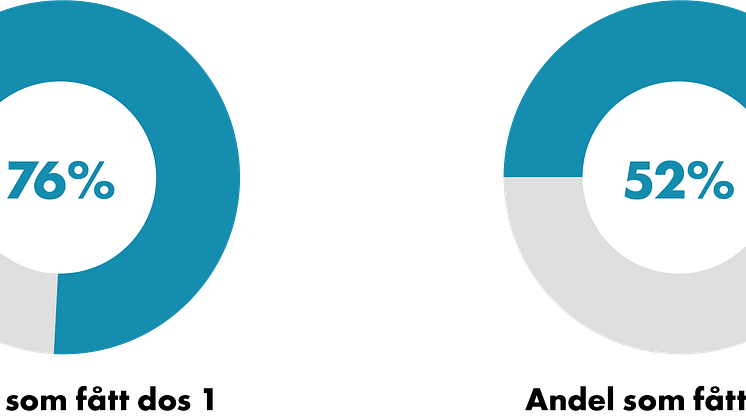 210716_Cirkel andel