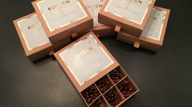 Kotten sätter fart på grillsommaren