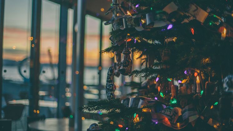 Ann Iren Buan står for årets Artist Tree  på Astrup Fearnley Museet