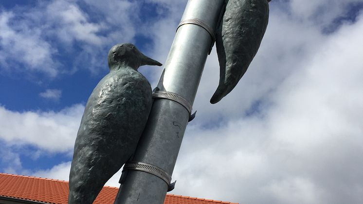 Delar av familjen Hackspett i HSB brf Smultrongården i Linköping