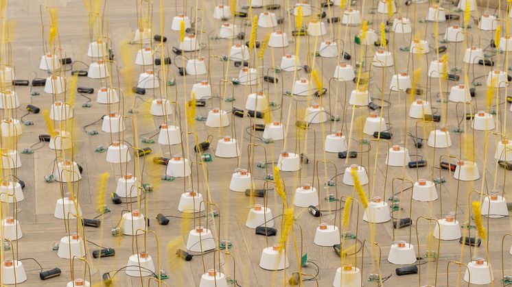Ida Schrader, Deadlock, 2023