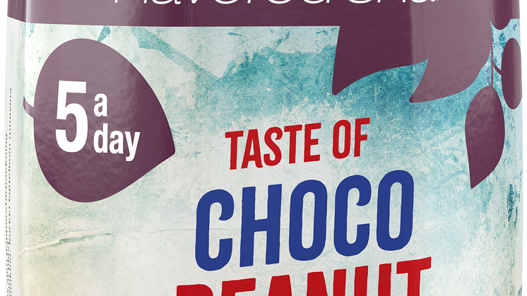 Shake Choco Peanut Fudge