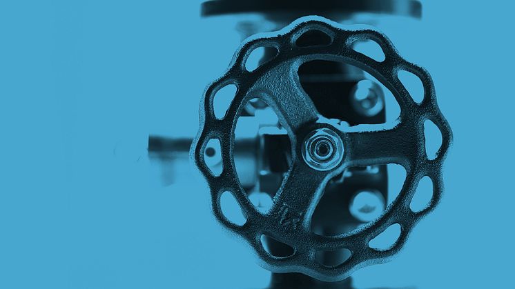 Account Manager to business unit Marine Valves 
