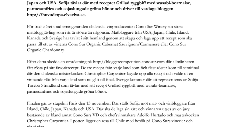 Sofija Torebo Strindlund representerar Sverige i Cono Surs internationella matbloggstävling