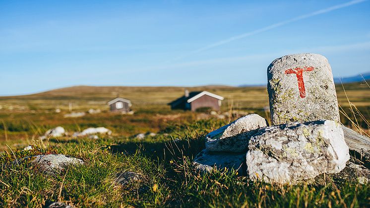 Den Norske Turistforening (DNT) er Norges største friluftslivsorganisasjon med over 300.000 medlemmer. Foto: Marius Dalseg Sætre