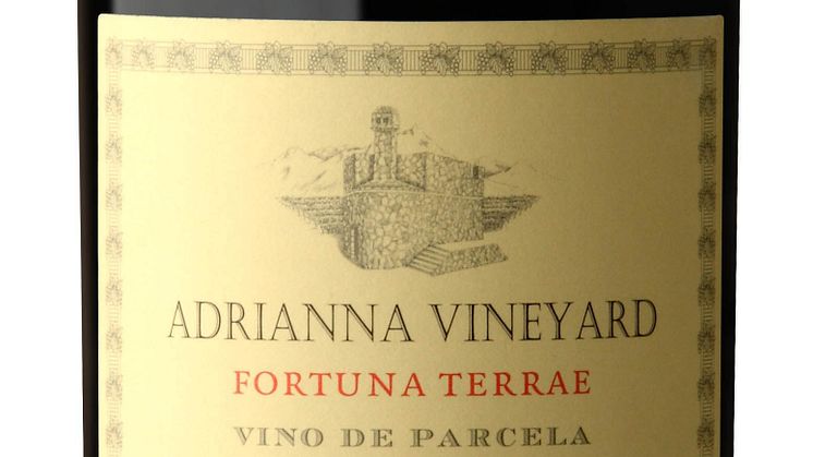 Adrianna Fortuna Terrae 2020