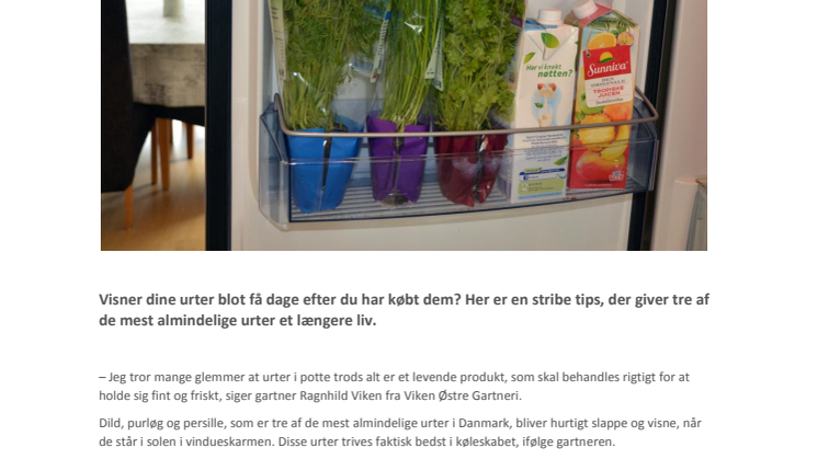 ​Sæt urterne i køleskabet