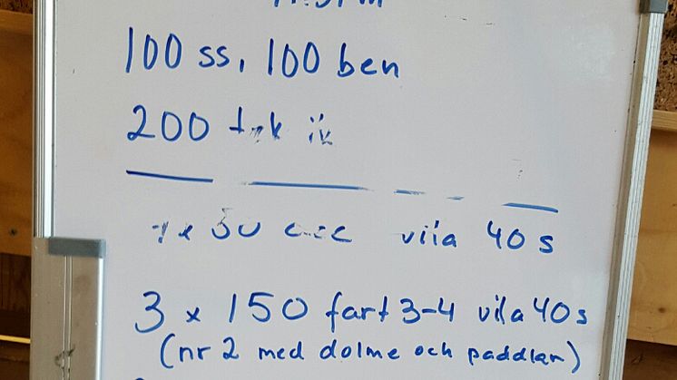 Ett nytt laddat år väntar