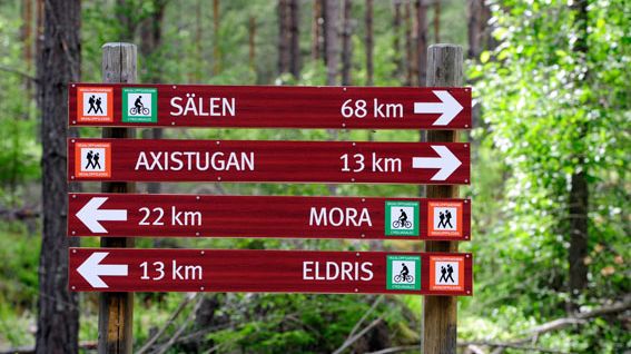 Nyheter inför CykelVasan – miljonbelopp har investerats i VasaloppsArenan