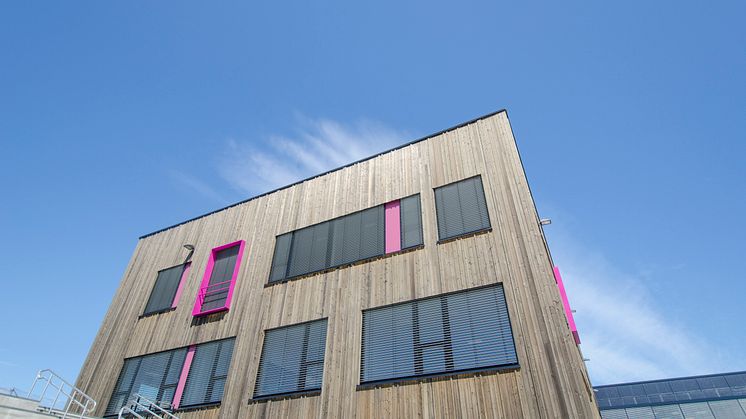 Veitveit skole