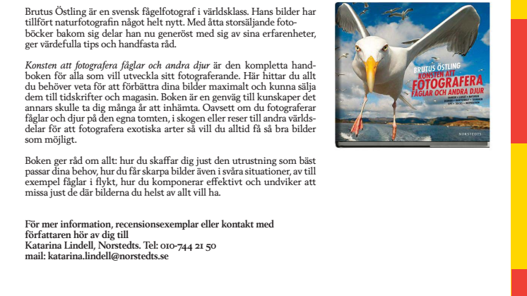 Konsten att fotografera fåglar och andra djur - av Brutus Östling