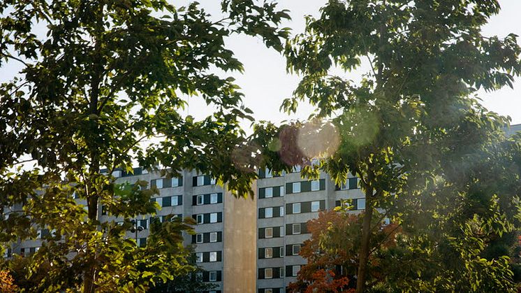 sollentuna stories