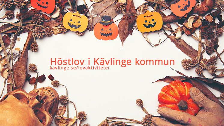 På webbsidan kavlinge.se/lovaktiviteter kan man se vad som händer dag för dag under höstlovet vecka 44.