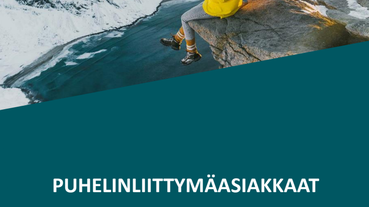 EPSI Telekommunikaatio 2024 - Puhelinlittymät, Study summary 7.10.2024.pdf