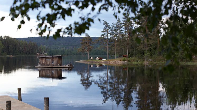 Värmland Naturbyn Foto Hanne Marit Tobiassen 17.jpg