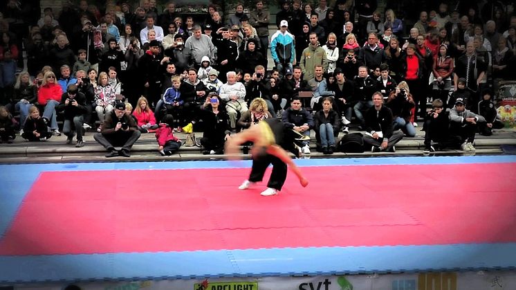 Stockholm Kung Fu Festival 2011 Official video