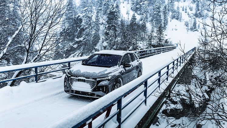 Audi Q4 50 e-tron quattro (Tyfongrå)