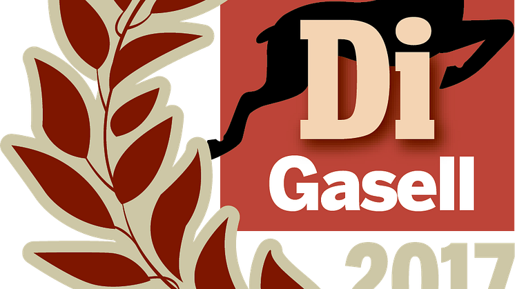Frontit – Gasellföretag 2017