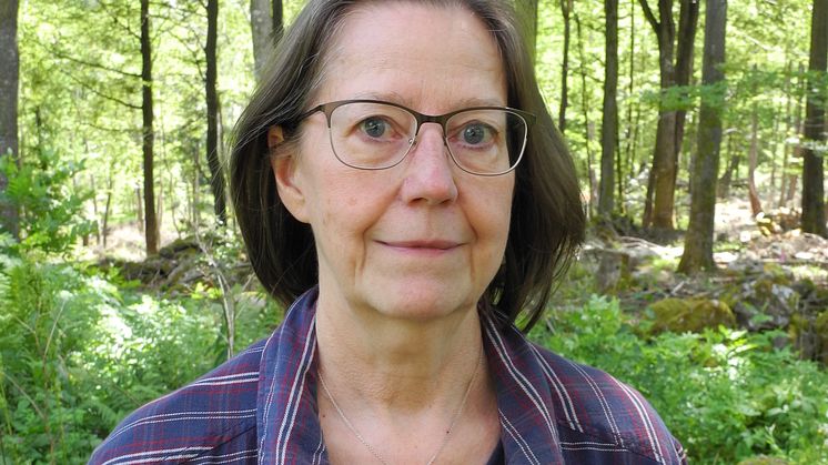 Lilian Ryd, hedersdoktor vid Luleå tekniska universitet