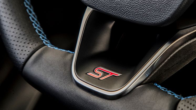 Fiesta St