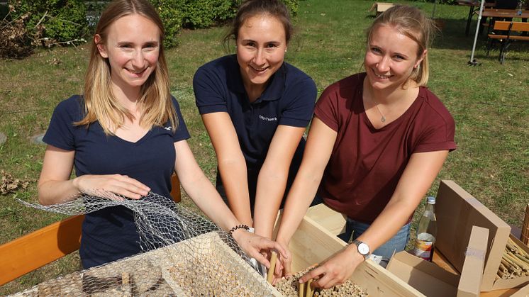 Aktionstag Bienenhotels