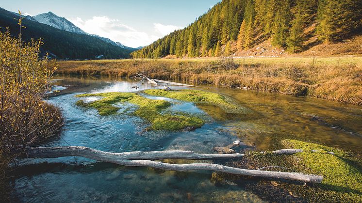 Biosfera Val Muestair © Schweiz Tourismus-Roland Gerth
