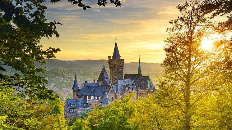 Wernigerode: Schloss Wernigerode © DZT