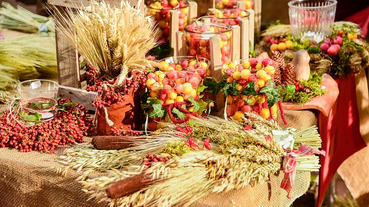 Der Bauern- und Regionalmarkt bringt vom 06.-08. Oktober herbstliches Flair in die Kieler Innenstadt
