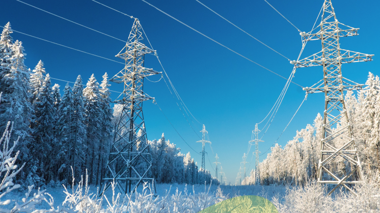 Biokraft och effektsituationen i kraftsystemet 2021