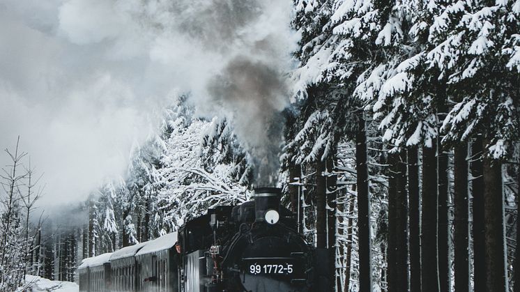 zwischen Sehmatal und Oberwiesenthal_Foto TVE_Patrick Eichler