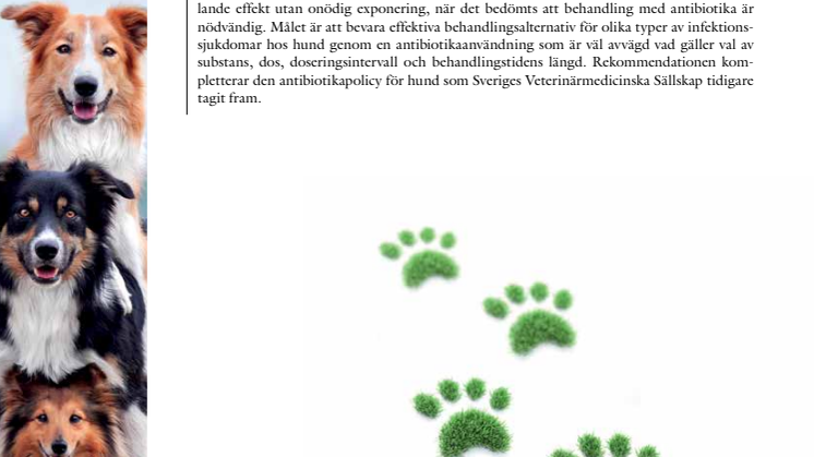 Information från Läkemedelsverket, supplement 2016
