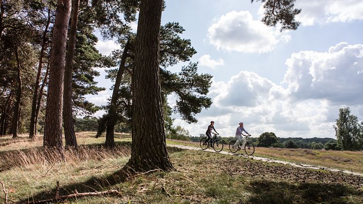 Römer-Lippe-Route_Westruper_Heide_Haltern_©Römer-Lippe-Route / Stratmann
