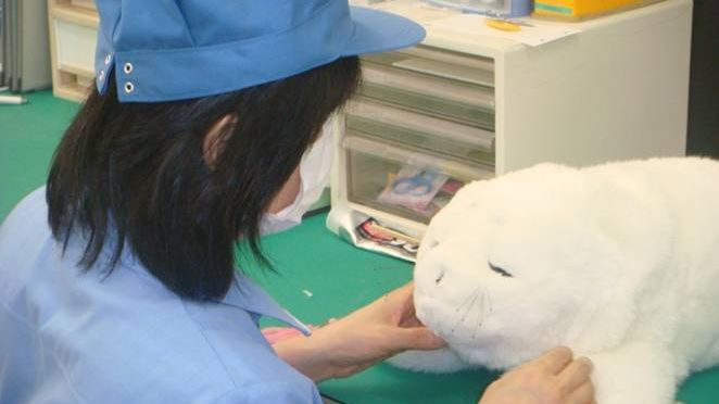 Robo-pets may contribute to quality of life for those with dementia