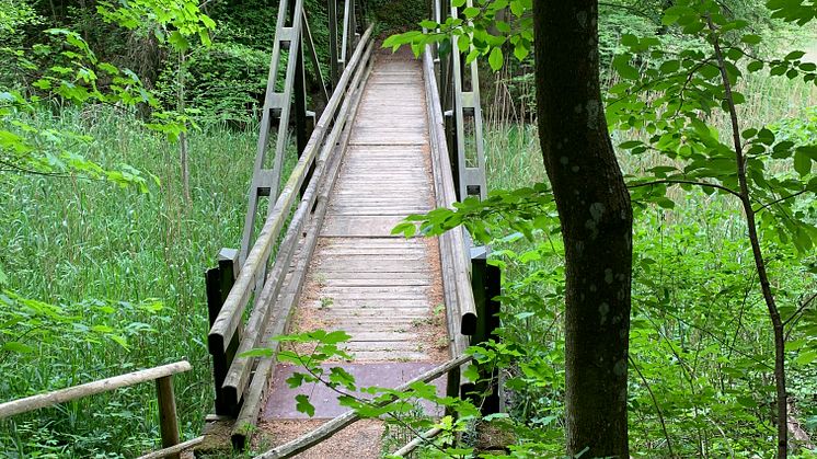 Der Holzboden der Brücke „Buch an de Iller“ ist in die Jahre gekommen und muss aus Sicherheitsgründen saniert werden. Wanderer und Radfahrer werden über eine Beschilderung umgeleitet.  (Bildnachweis: LEW)