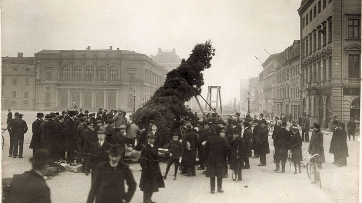 Hundraårig tradition. Stadens gran reses vid Gustav Adolfs torg vintern 1920. Till vänster syns Börsen. Fotografi: Göteborgs stadsmuseum
