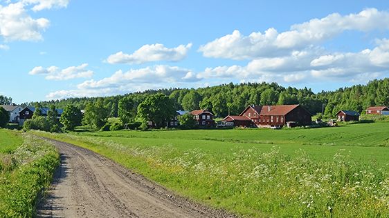 Utbytesstudenter på läkarprogrammet till glesbefolkade områden