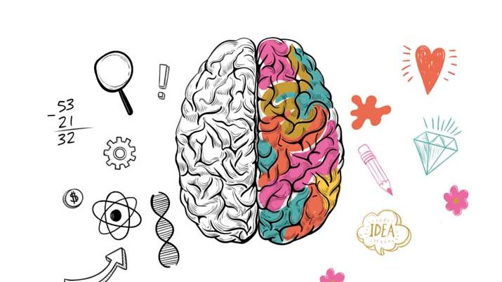 Die intelligente Organisation - das Playbook für organisatorische Komplexität