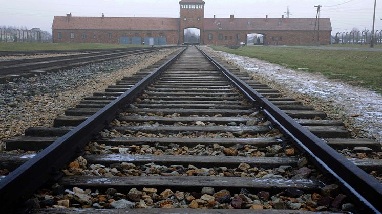 Auschwitz: Journey Into Hell