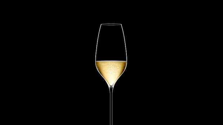 THE CHAMPAGNE GLASS  ‘Richard Juhlin Optimum’ by Italesse