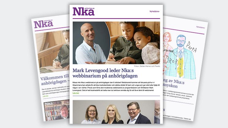 Nyhetsbrev nr 8 från Nka