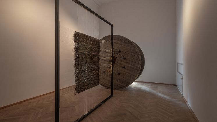 Honey Biba Beckerlee, Swarming / Swimming, 2022