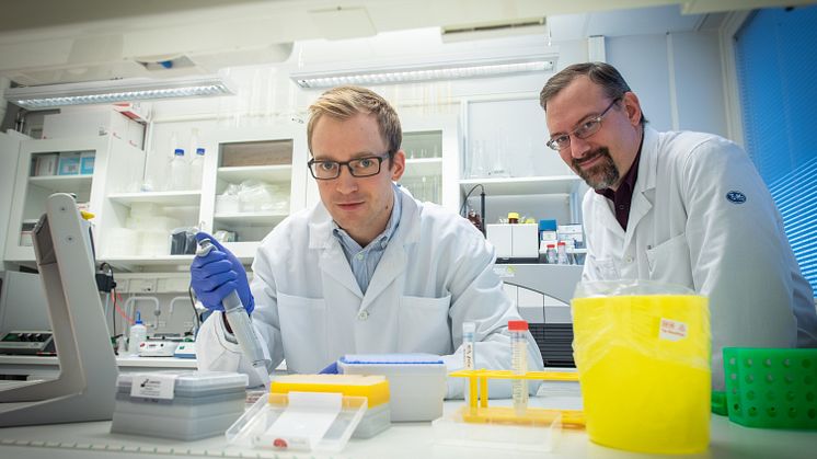 Henrik Green och Niclas Björn studerar hur genetiska faktorer påverkar individens känslighet för biverkningar av cancerbehandlingar.